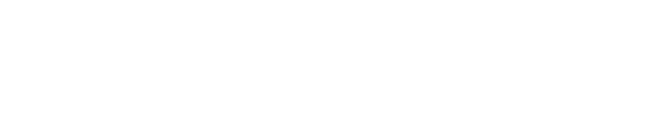 NETWORKX-LOGO-COLOR-d7464cadaf81aaabd2fa1d4cf5aa86f4-white